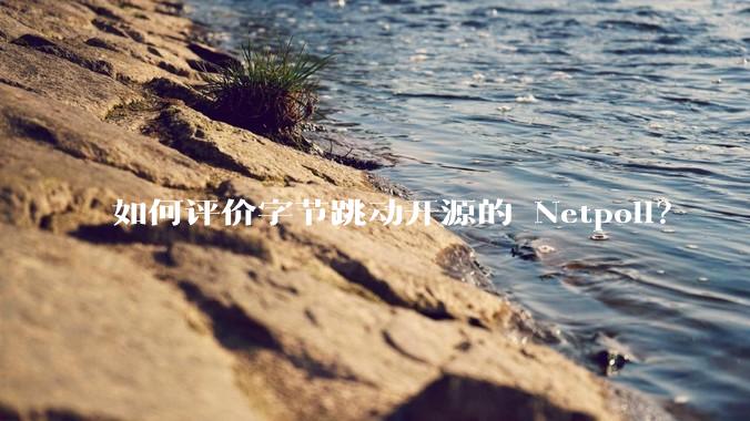 如何评价字节跳动开源的 Netpoll？
