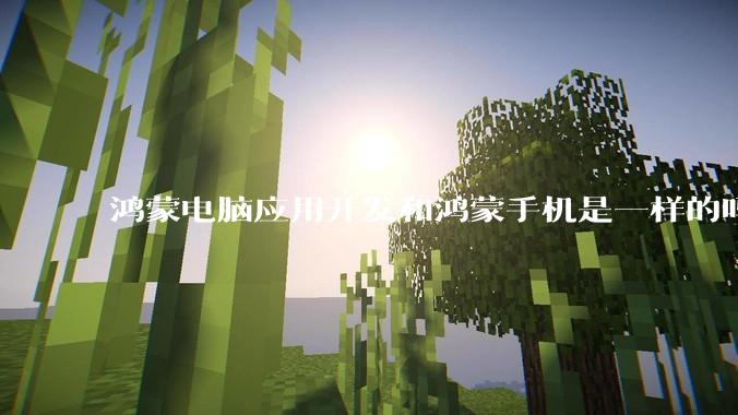鸿蒙电脑应用开发和鸿蒙手机是一样的吗？