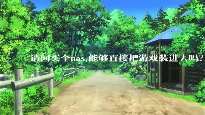 请问买个nas,能够直接把游戏装进去吗？
