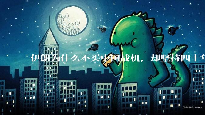 伊朗为什么不买中国战机，却坚持四十年用老旧的苏联米格29、美国F14雄猫战斗机?